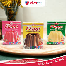 Flan RABHA X24 VANILLE - FRAISE - CHOCOLAT ORIGINE IMPORT DZ